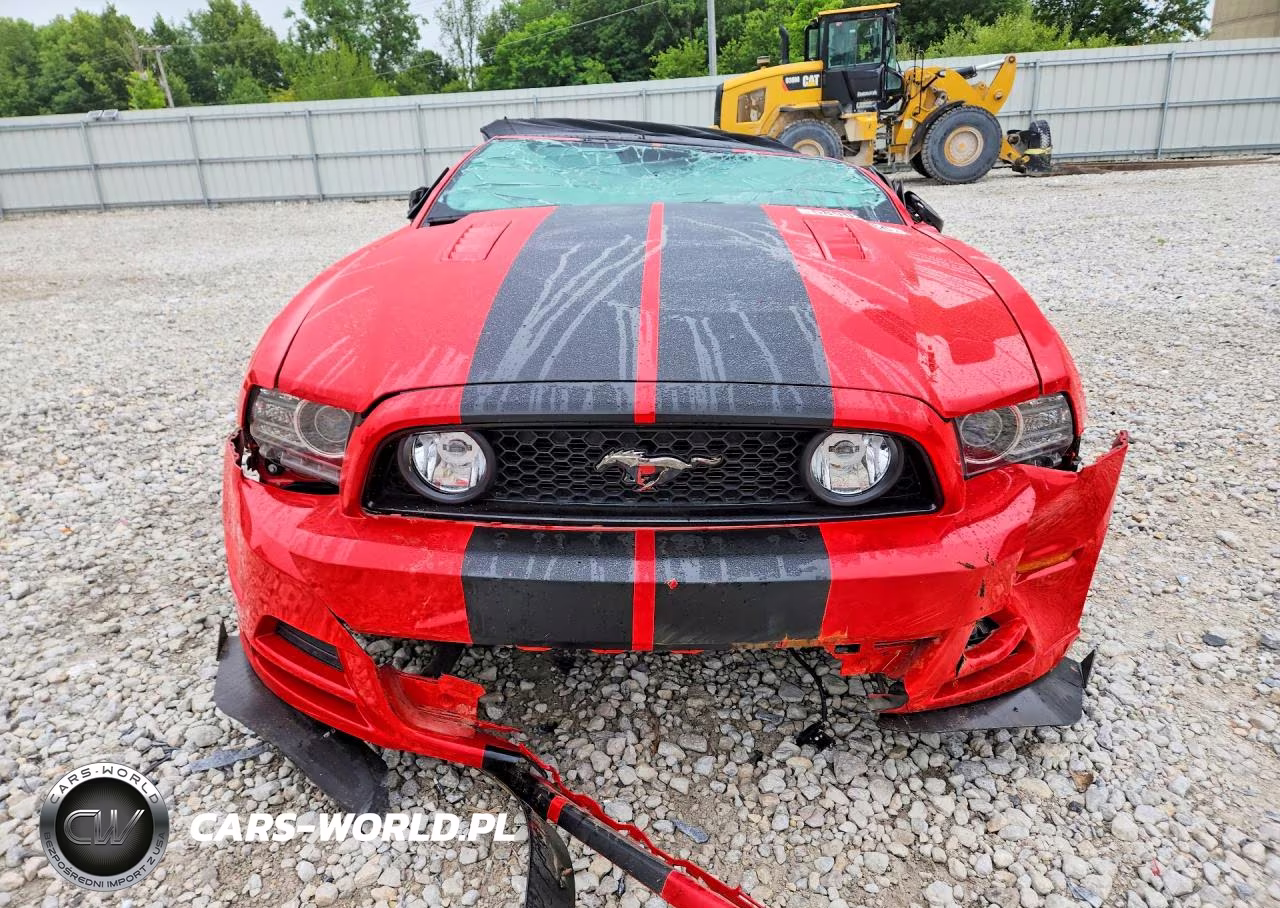 2014 Ford Mustang Gt VIN:1ZVBP8FF5E5291066 - 5