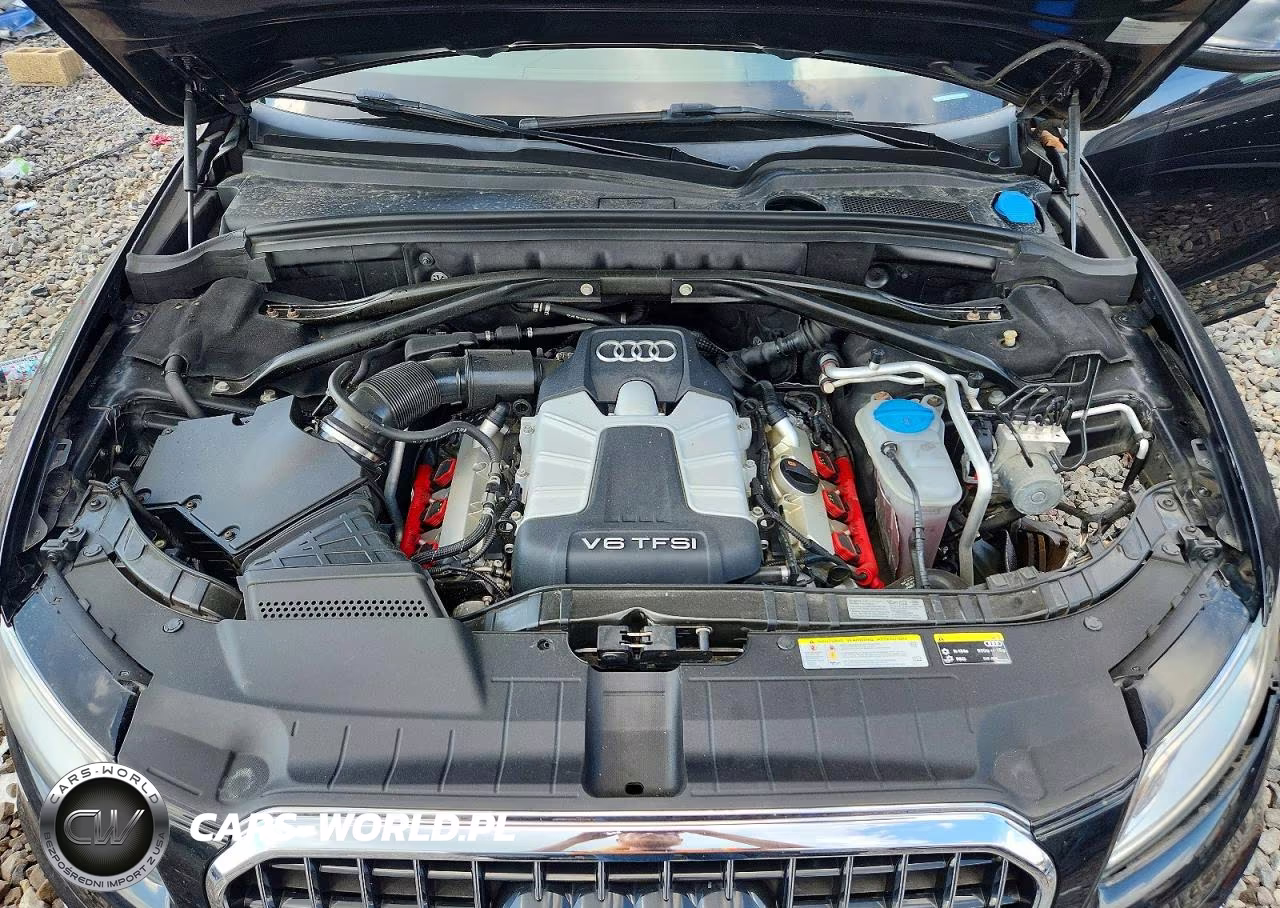 2013 Audi Q5 VIN:WA1WGAFP8DA061915 - 11