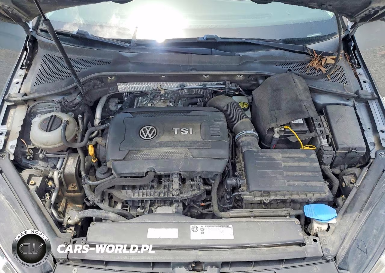 2016 Volkswagen Golf Sportwagen S VIN:3VWC17AU5GM516458 - 11