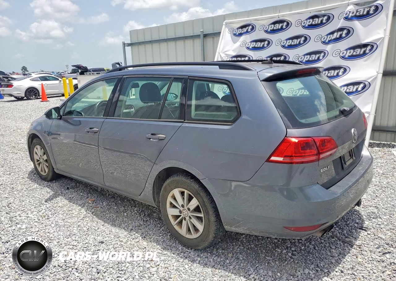 2016 Volkswagen Golf Sportwagen S VIN:3VWC17AU5GM516458 - 2