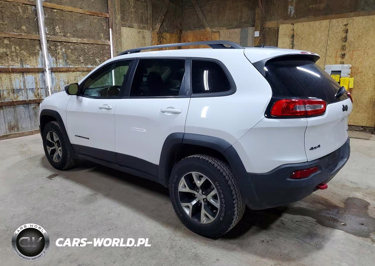 2017 Jeep Cherokee Trailhawk VIN:1C4PJMBS0HW558084 - 2