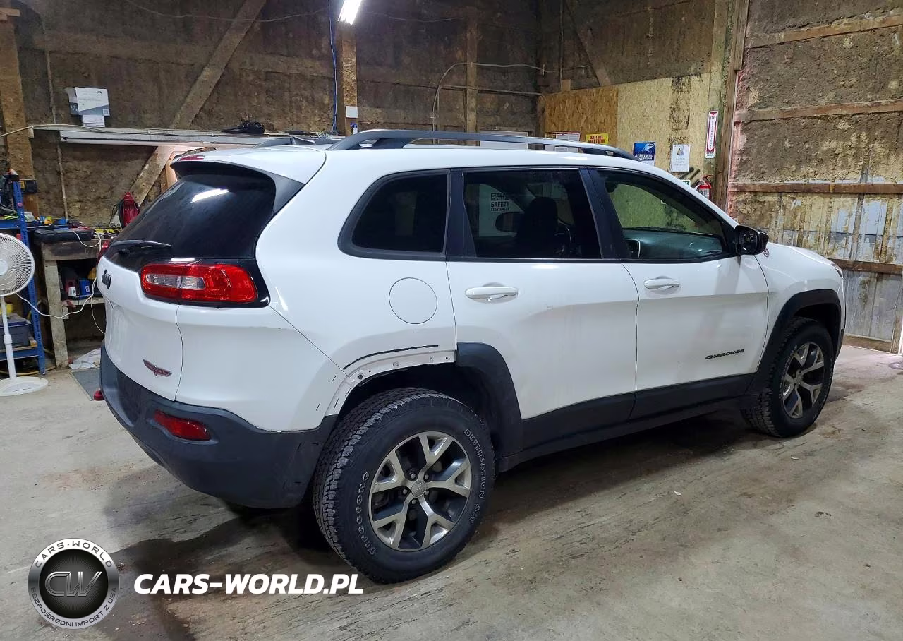 2017 Jeep Cherokee Trailhawk VIN:1C4PJMBS0HW558084 - 3