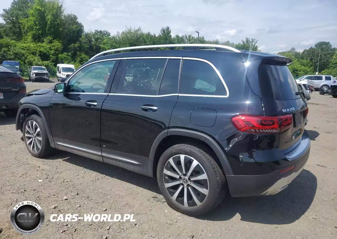 2020 Mercedes-Benz Glb 250 4Matic VIN:W1N4M4HB5LW038739 - 2