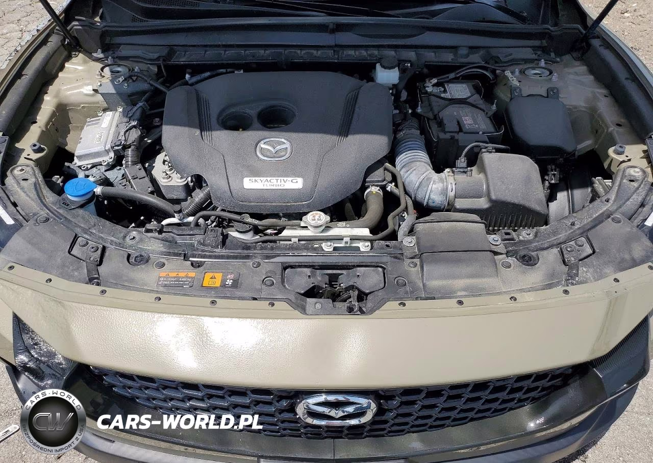 2024 Mazda Cx-50 Premium Plus VIN:7MMVABEY1RN165150 - 12