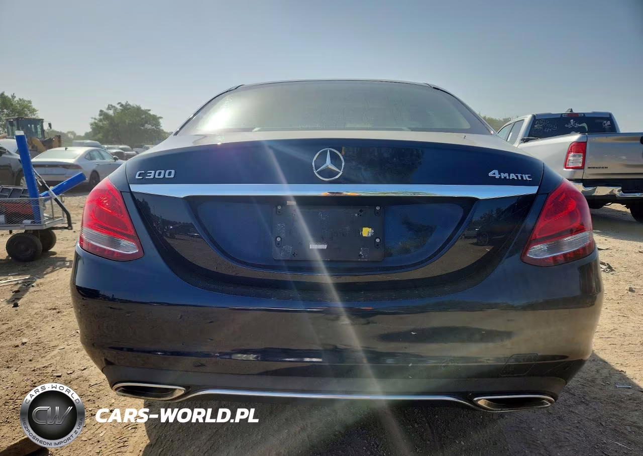 2017 Mercedes-Benz C 300 4Matic VIN:55SWF4KB4HU207159 - 6