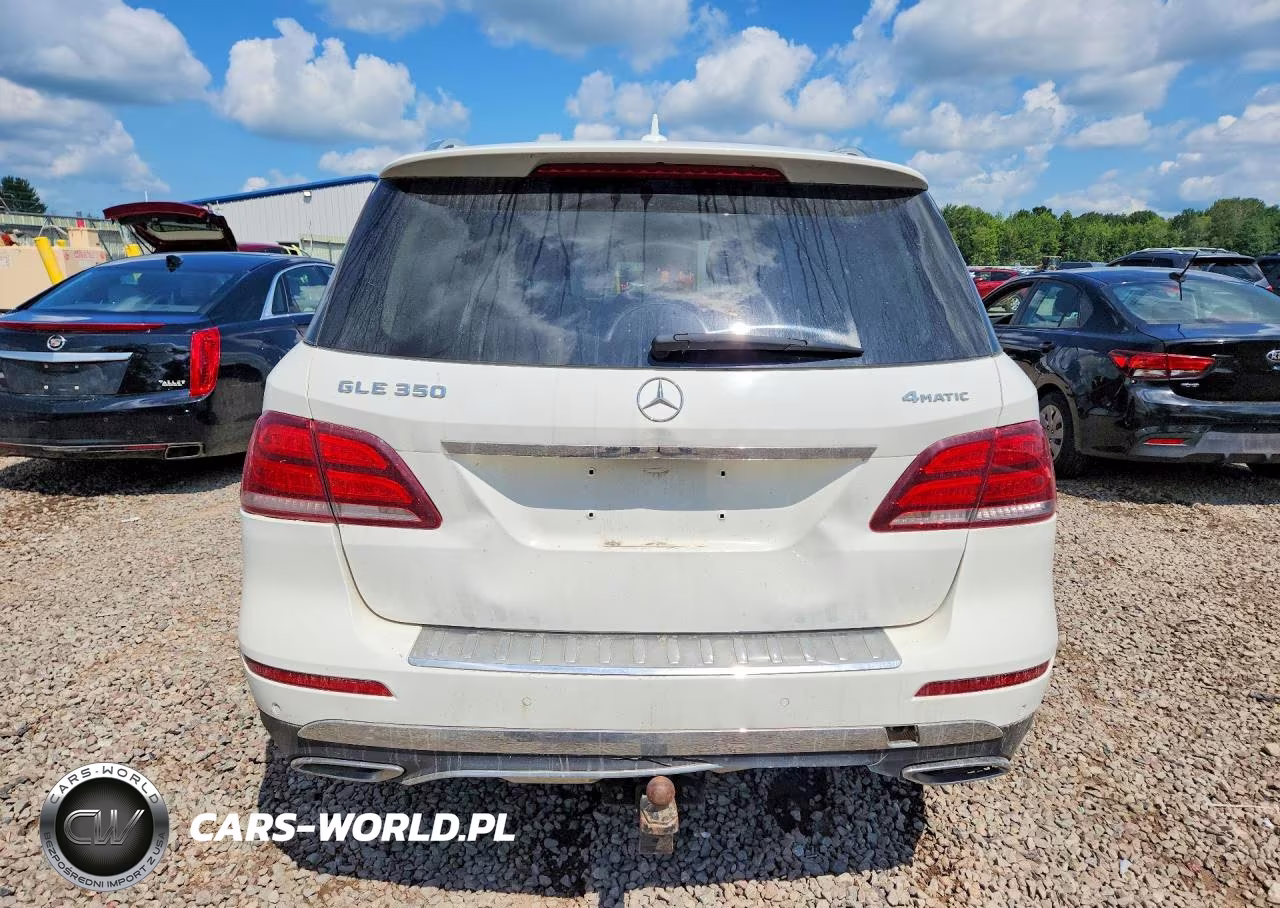 2017 Mercedes-Benz Gle 350 4Matic VIN:4JGDA5HB6HA915891 - 6