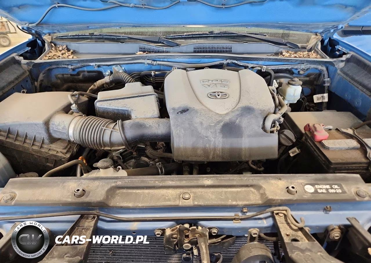2019 Toyota Tacoma Trd Sport VIN:5TFSZ5AN6KX195814 - 11
