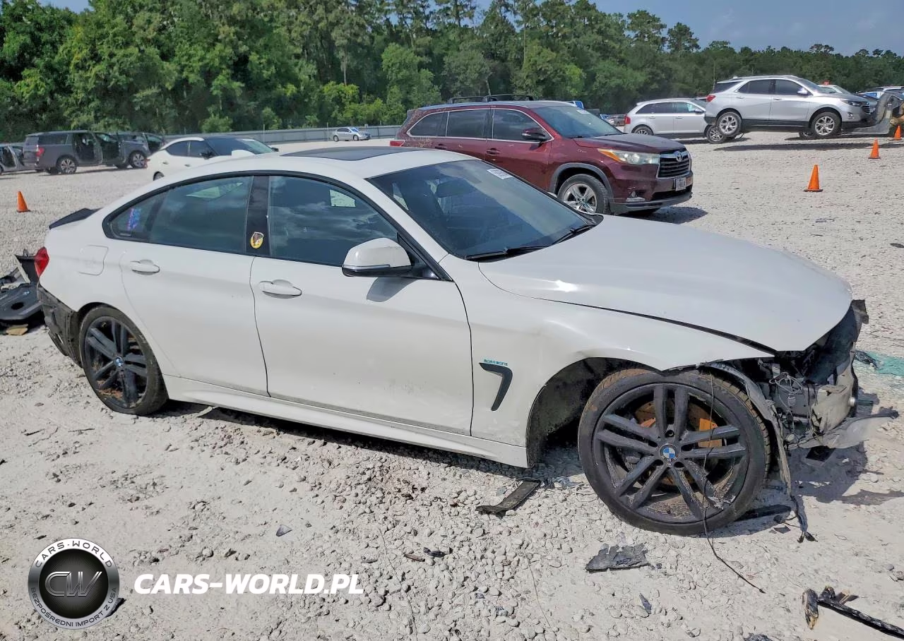 2018 BMW 430I Gran Coupe VIN:WBA4J1C53JBG79814 - 4