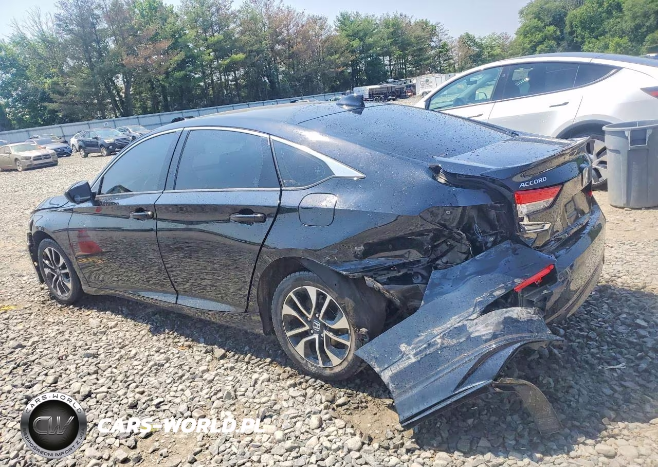 2019 Honda Accord Lx VIN:1HGCV1F10KA016010 - 2