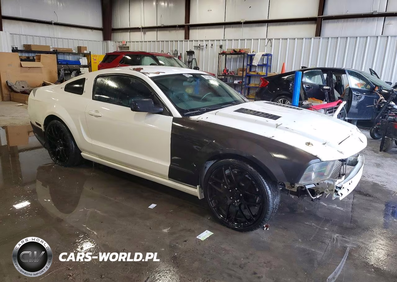 2008 Ford Mustang Gt VIN:1ZVHT82HX85184256 - 4