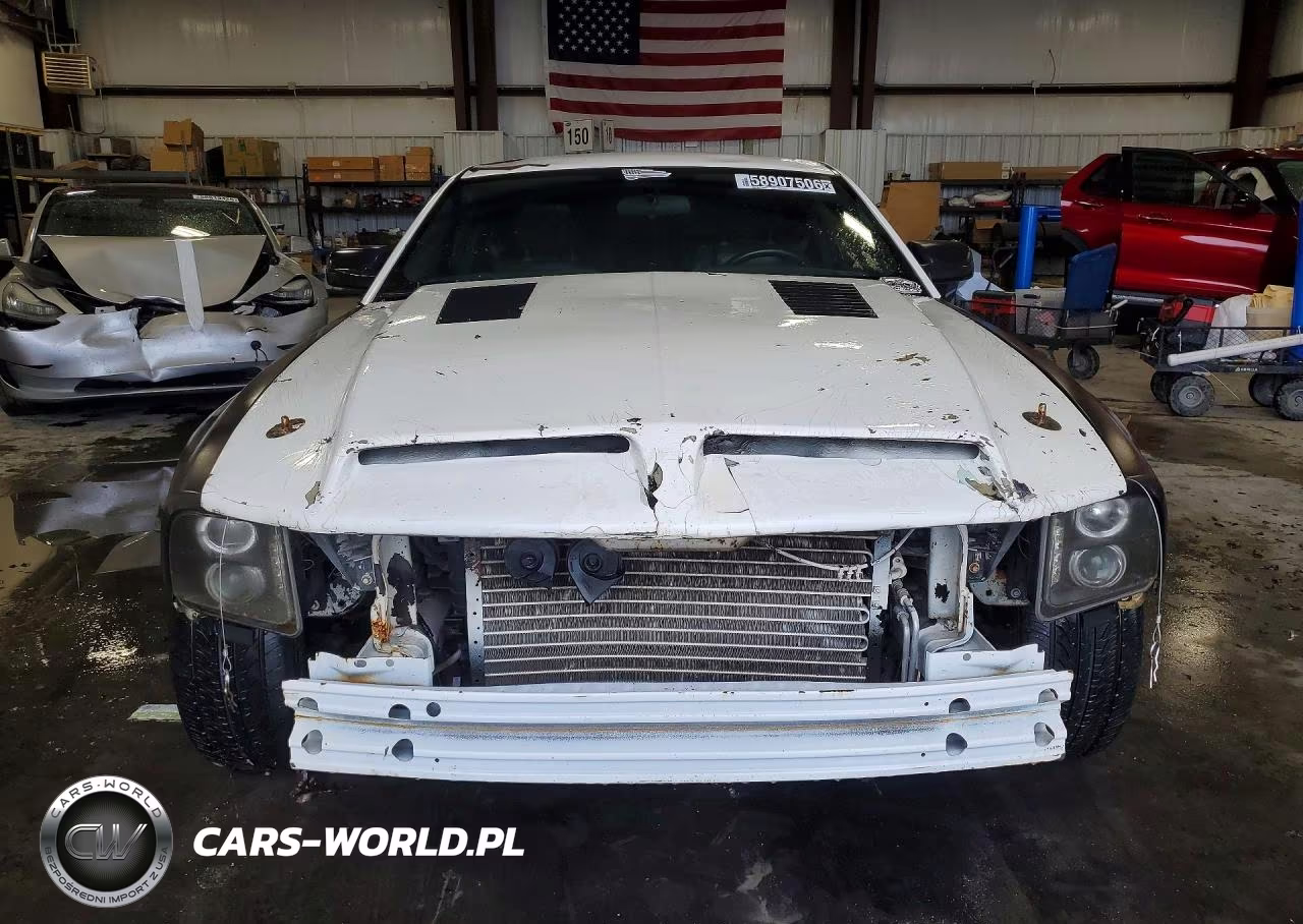 2008 Ford Mustang Gt VIN:1ZVHT82HX85184256 - 5
