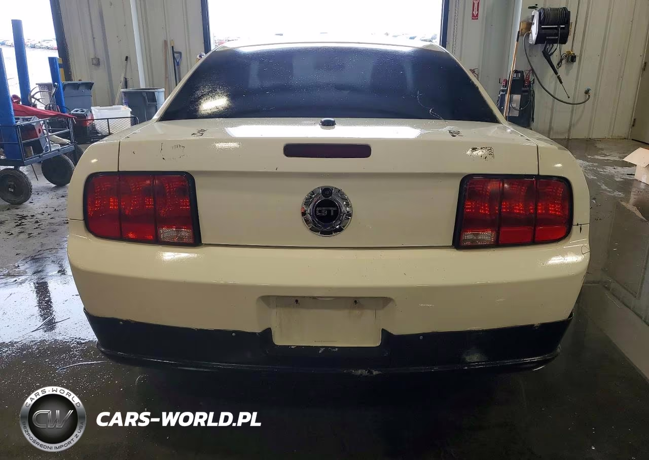 2008 Ford Mustang Gt VIN:1ZVHT82HX85184256 - 6