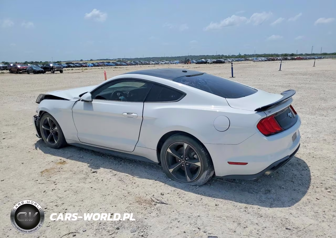 2019 Ford Mustang VIN:1FA6P8TH7K5122971 - 2