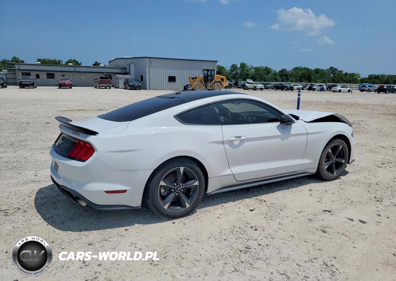 2019 Ford Mustang VIN:1FA6P8TH7K5122971 - 3