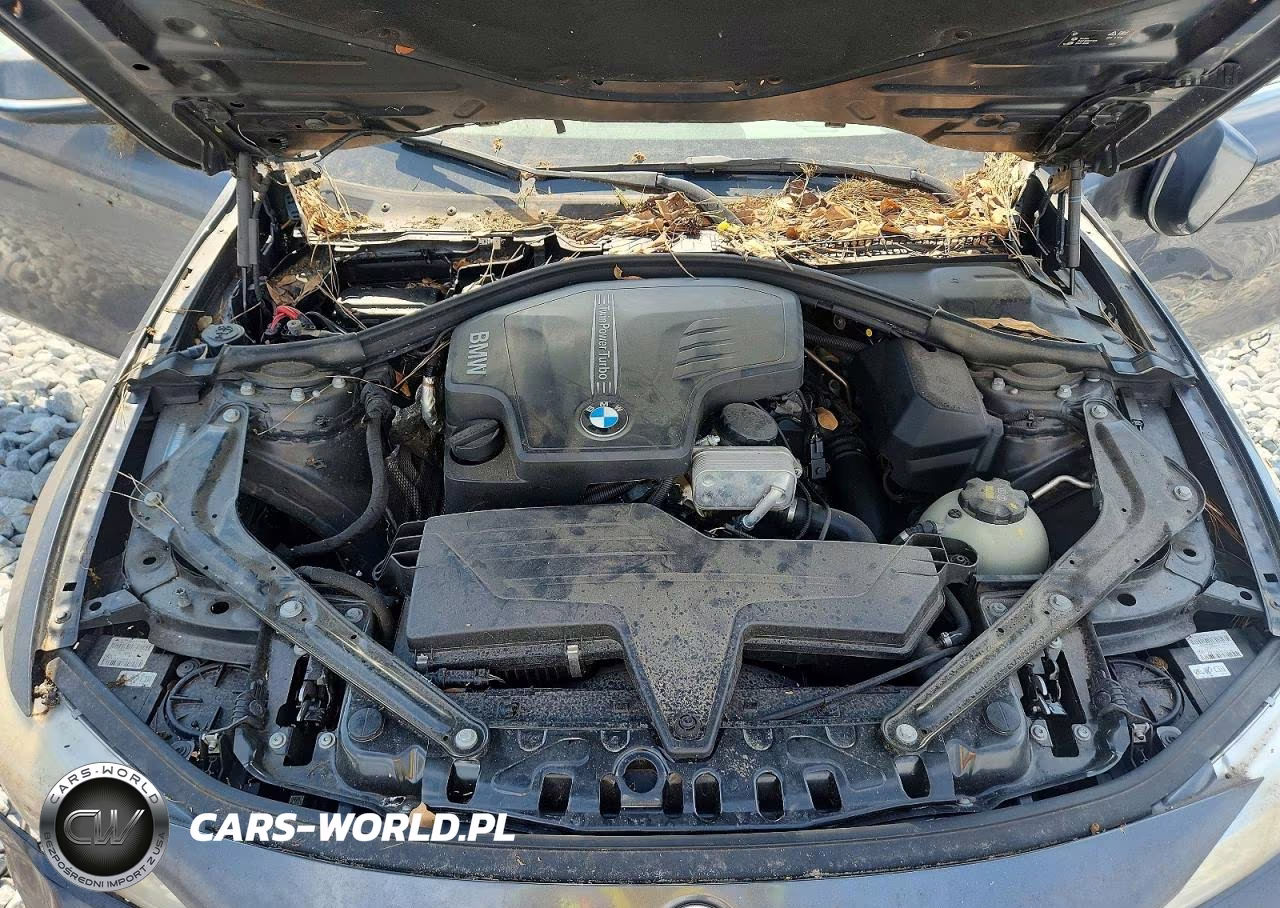 2016 BMW 428 I Sulev VIN:WBA3V7C5XG5A27427 - 11