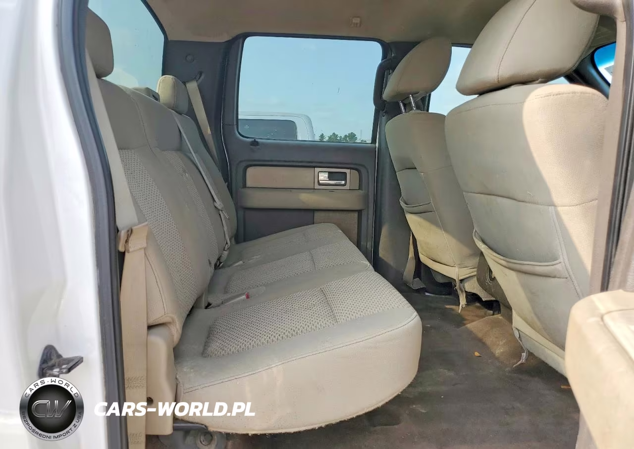 2009 Ford F 150 VIN:1FTPW14V09FA23443 - 10