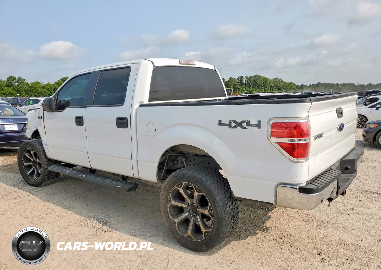 2009 Ford F 150 VIN:1FTPW14V09FA23443 - 2