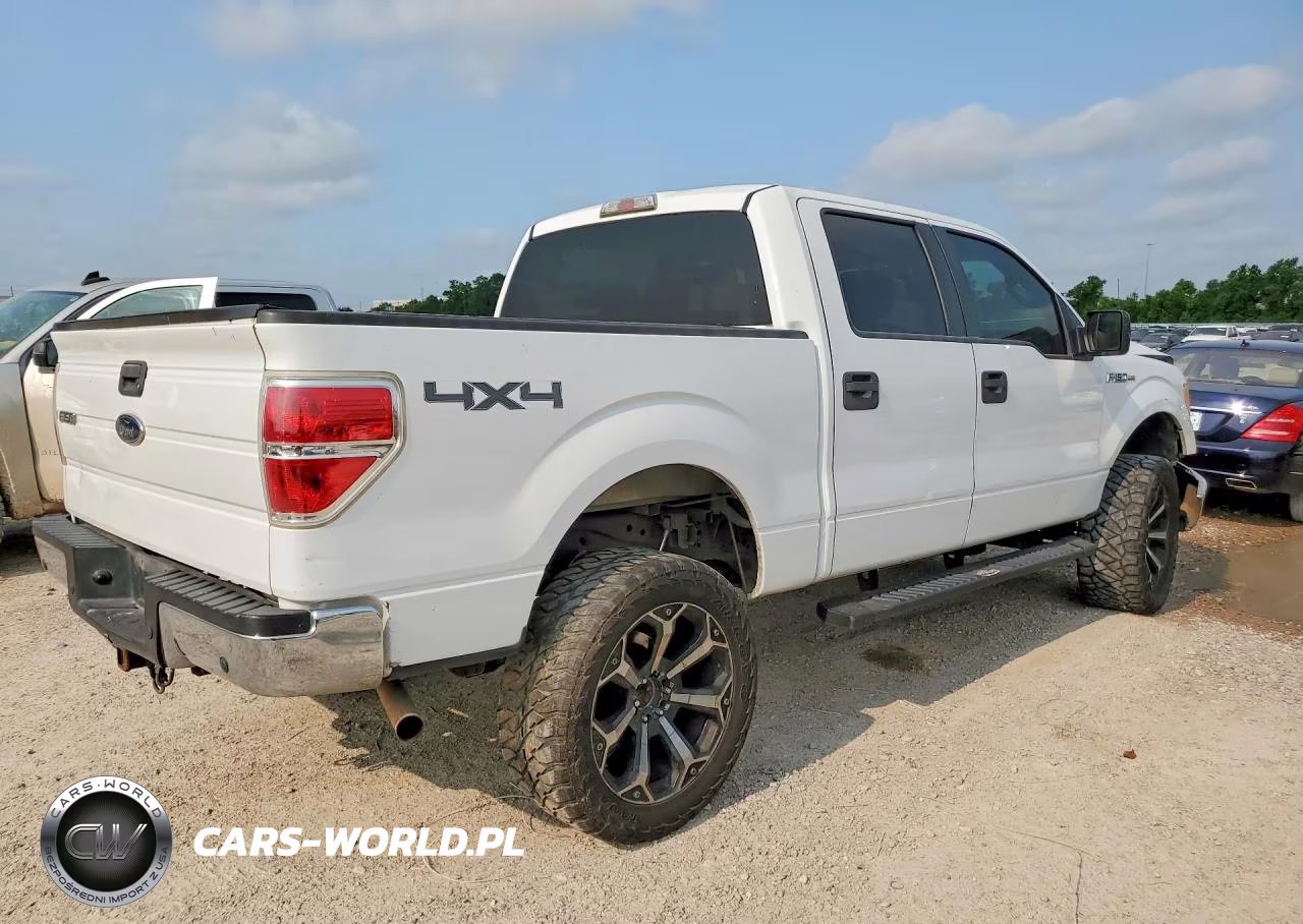2009 Ford F 150 VIN:1FTPW14V09FA23443 - 3