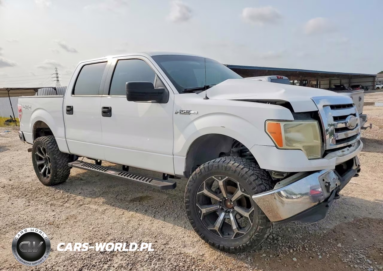 2009 Ford F 150 VIN:1FTPW14V09FA23443 - 4