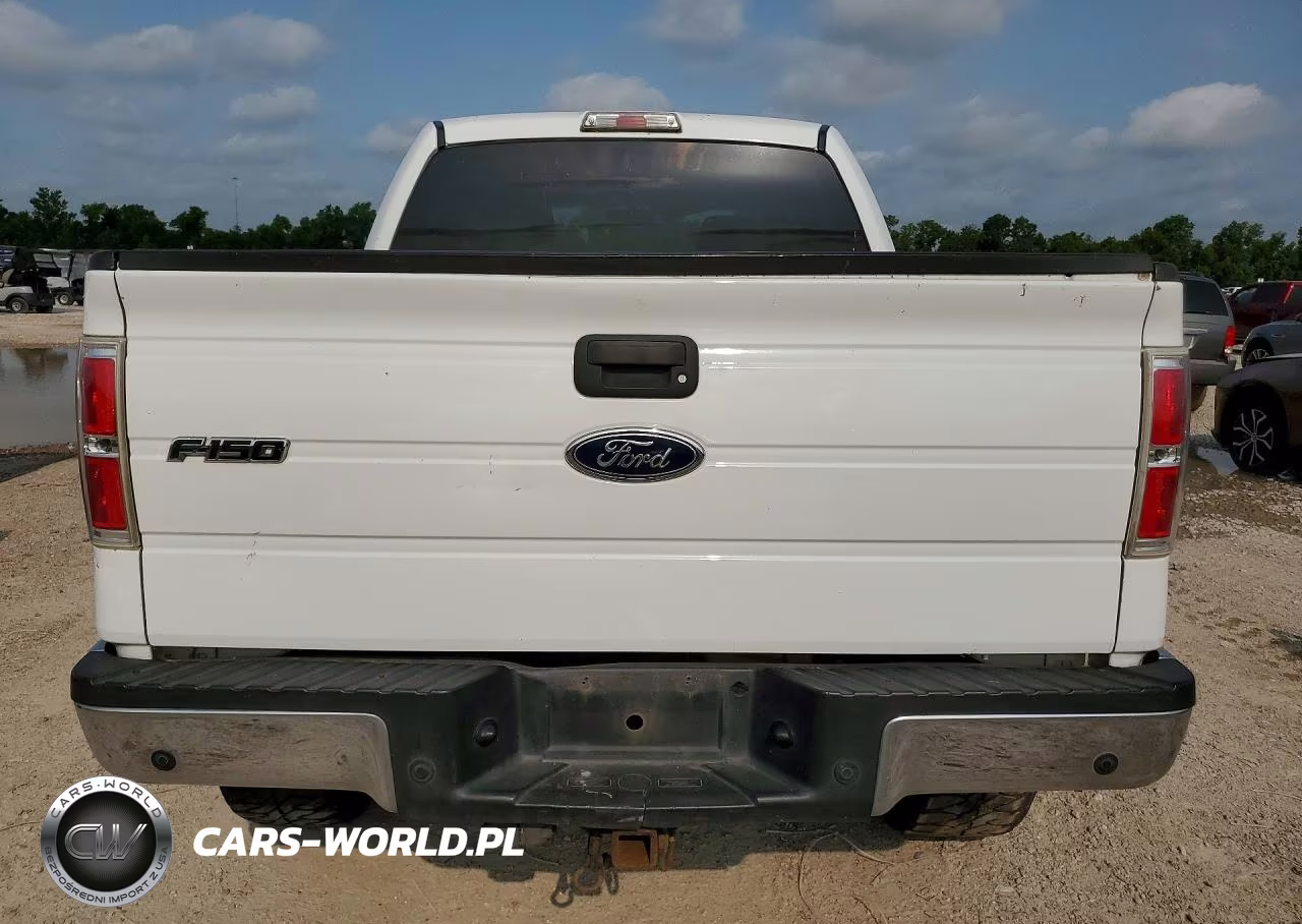 2009 Ford F 150 VIN:1FTPW14V09FA23443 - 6