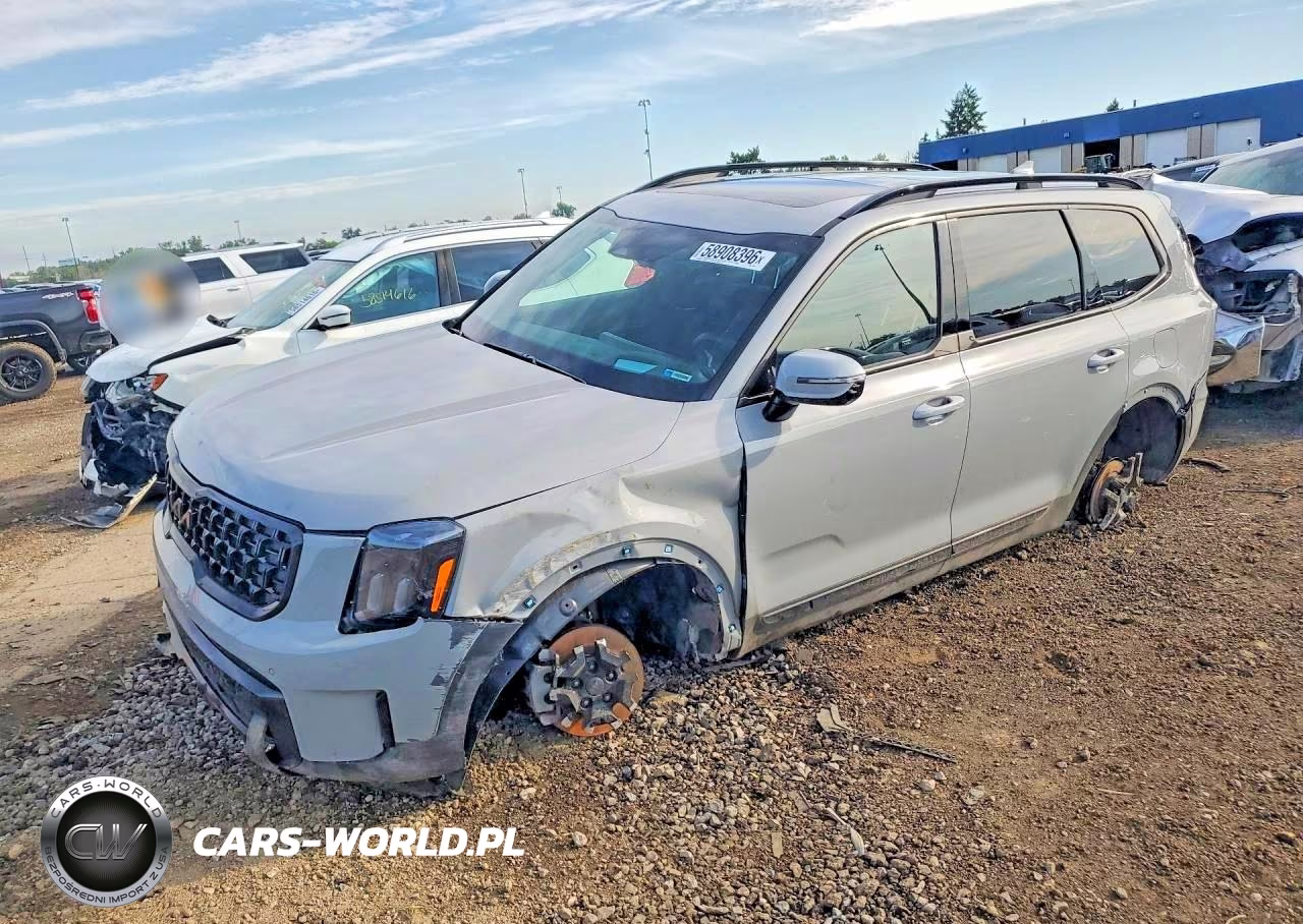 2025 Kia Telluride Sx-Prestige X-Line VIN:5XYP5DGC6SG721055 - 1