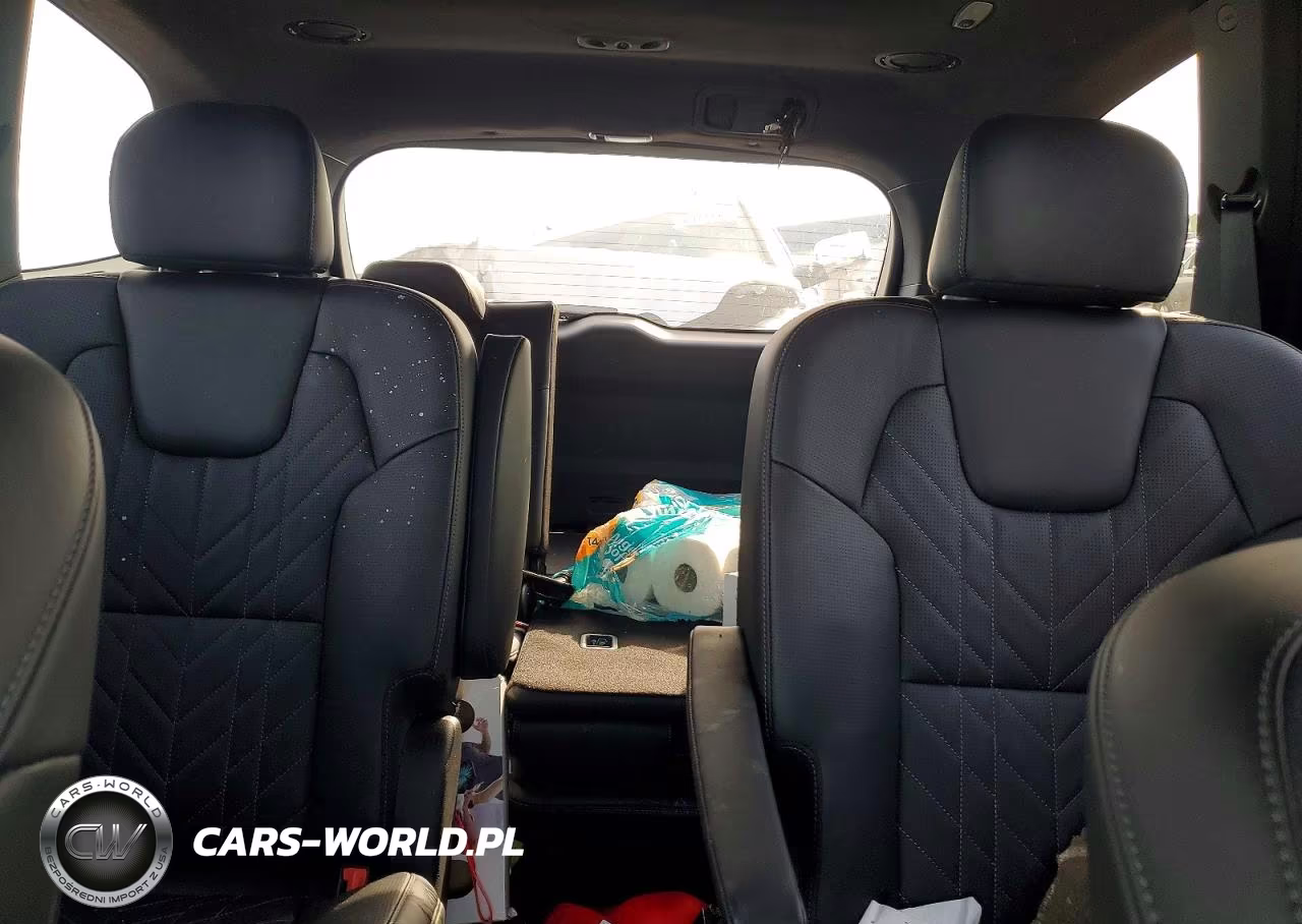 2025 Kia Telluride Sx-Prestige X-Line VIN:5XYP5DGC6SG721055 - 10