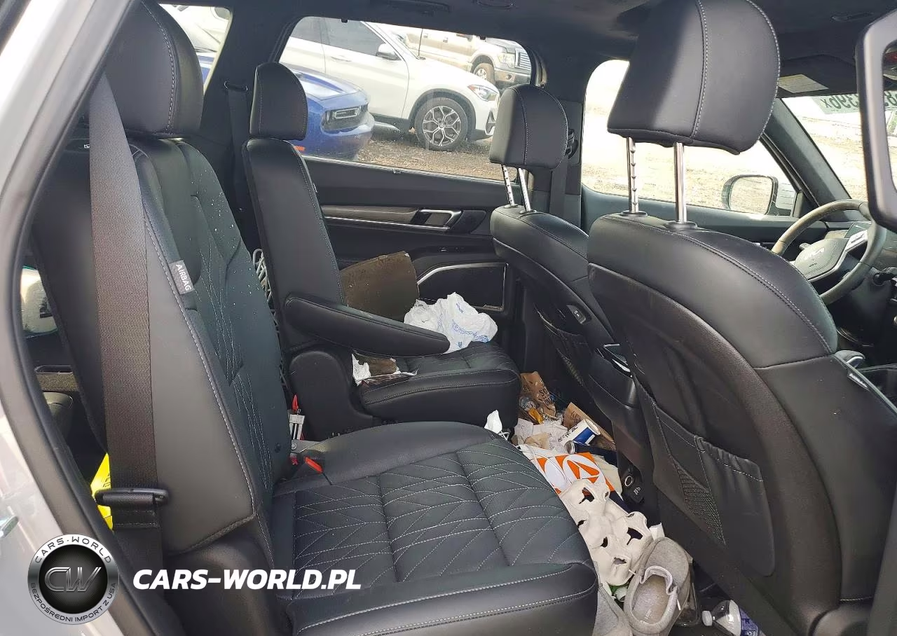 2025 Kia Telluride Sx-Prestige X-Line VIN:5XYP5DGC6SG721055 - 11