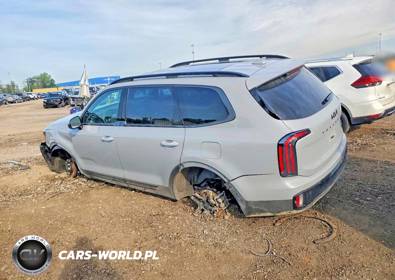2025 Kia Telluride Sx-Prestige X-Line VIN:5XYP5DGC6SG721055 - 2