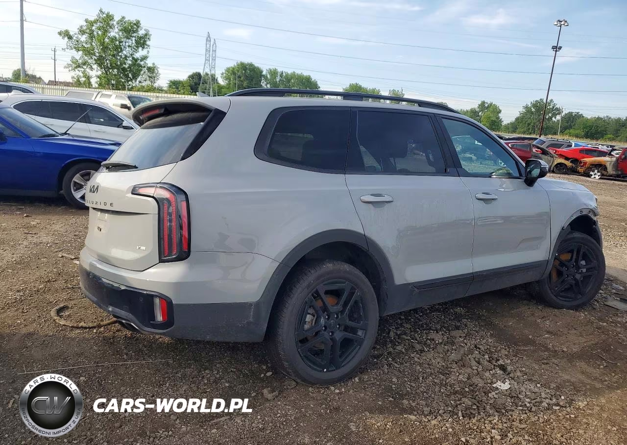 2025 Kia Telluride Sx-Prestige X-Line VIN:5XYP5DGC6SG721055 - 3
