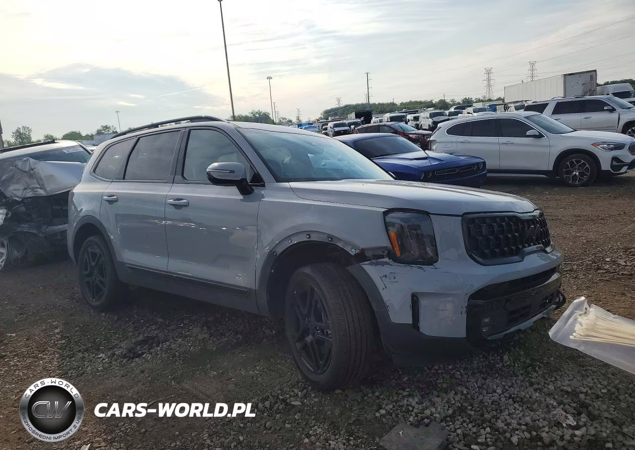 2025 Kia Telluride Sx-Prestige X-Line VIN:5XYP5DGC6SG721055 - 4
