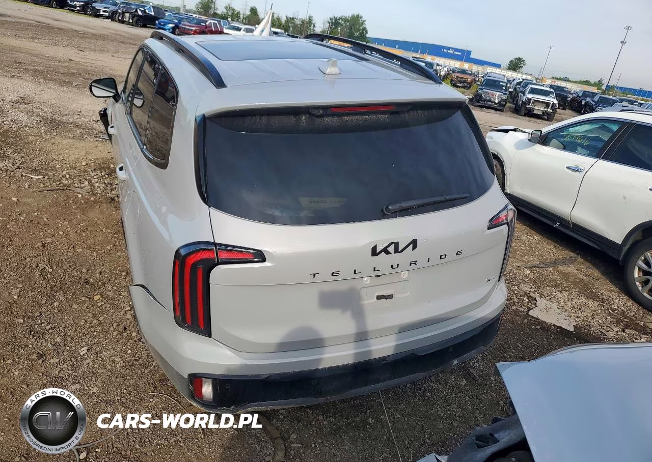 2025 Kia Telluride Sx-Prestige X-Line VIN:5XYP5DGC6SG721055 - 6