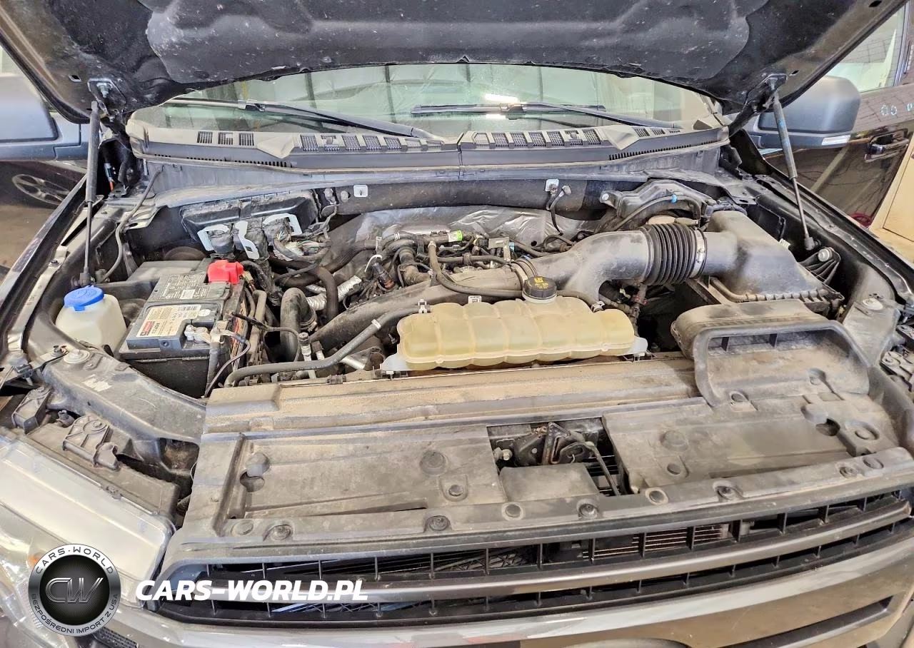 2020 Ford F150 Supercrew VIN:1FTEW1EP9LFB72559 - 11