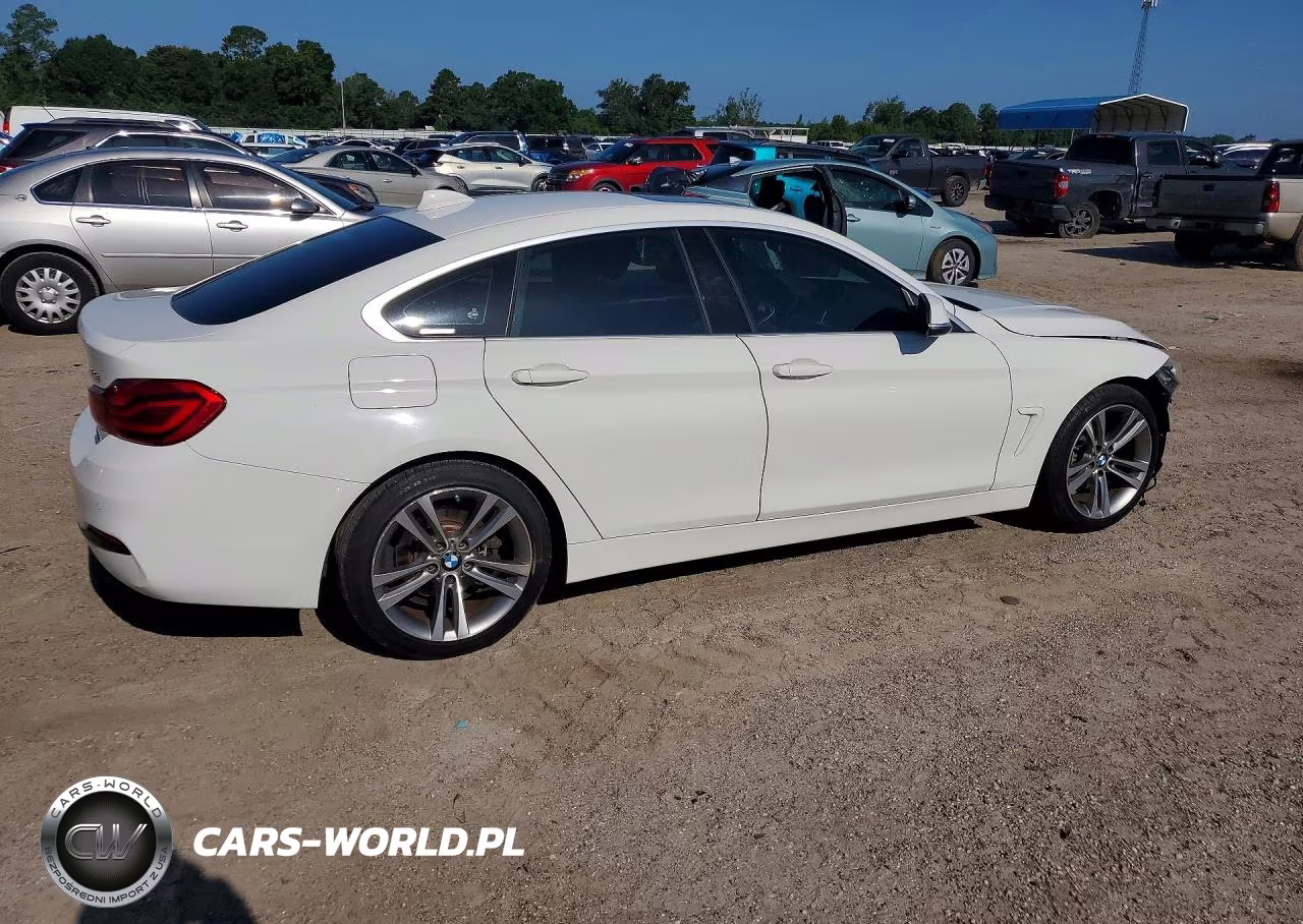 2019 BMW 430I Gran Coupe VIN:WBA4J1C55KBM13807 - 3