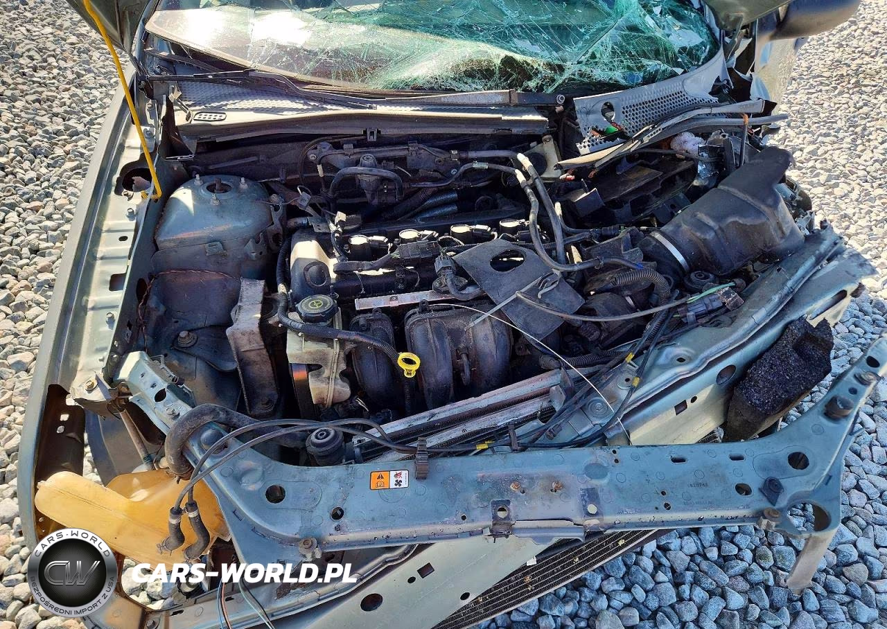 2006 Ford Focus Zx4 VIN:1FAHP34N86W235649 - 11