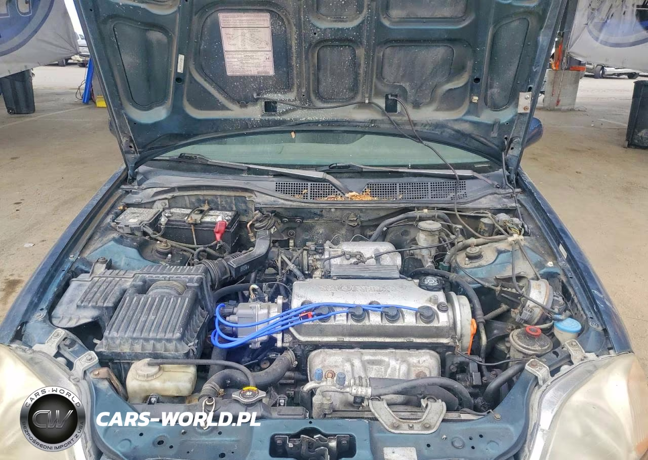 1997 Honda Civic Ex VIN:1HGEJ8242VL055087 - 11