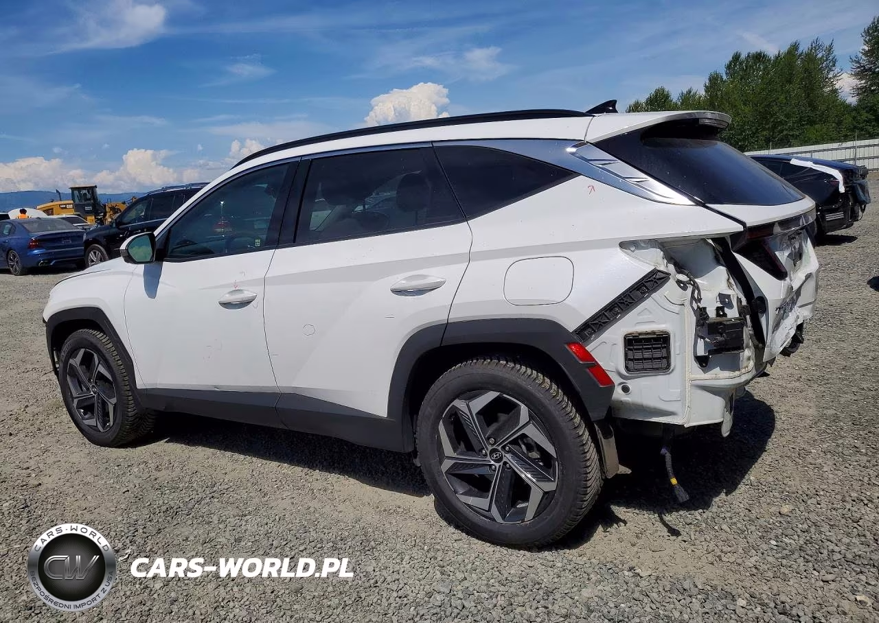 2023 Hyundai Tucson Limited VIN:KM8JECA16PU095791 - 2