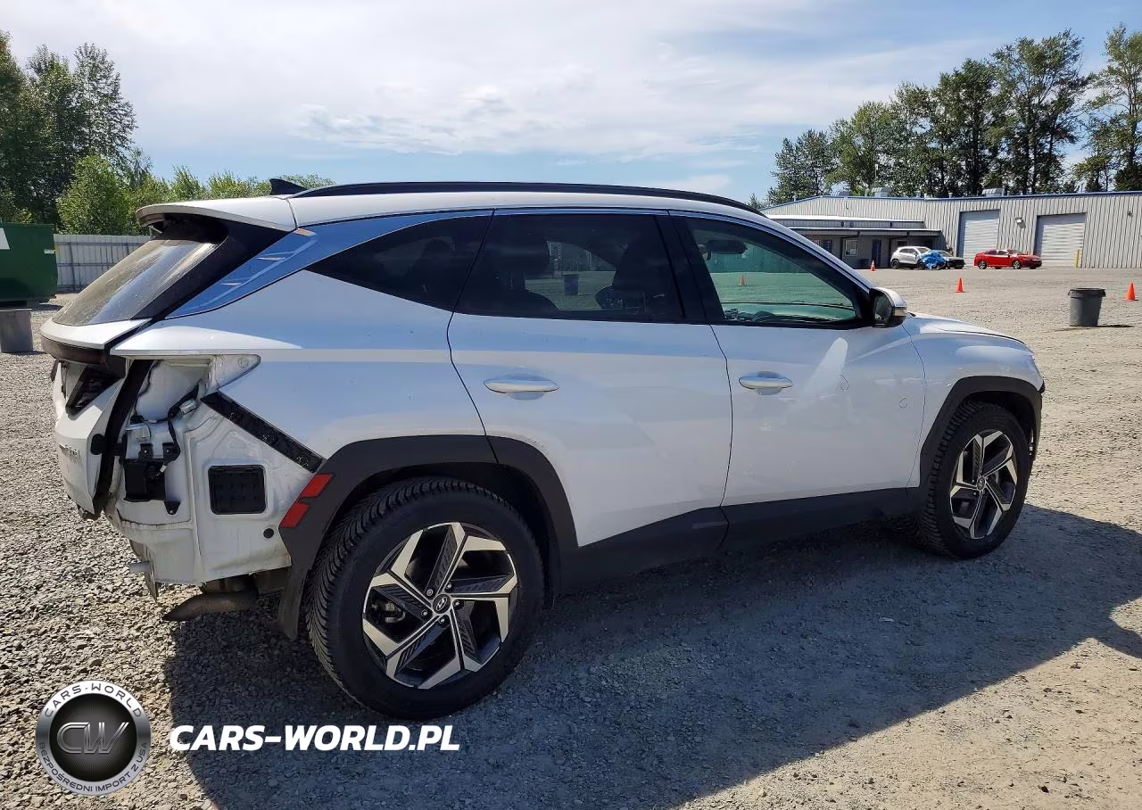 2023 Hyundai Tucson Limited VIN:KM8JECA16PU095791 - 3