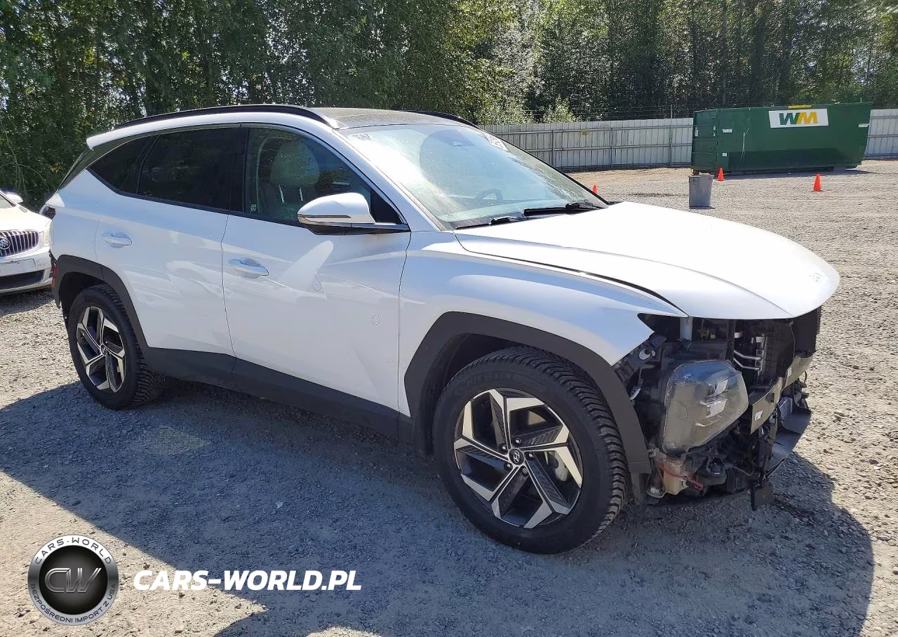 2023 Hyundai Tucson Limited VIN:KM8JECA16PU095791 - 4