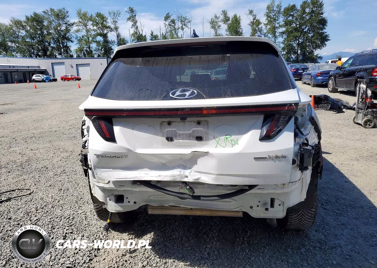 2023 Hyundai Tucson Limited VIN:KM8JECA16PU095791 - 6