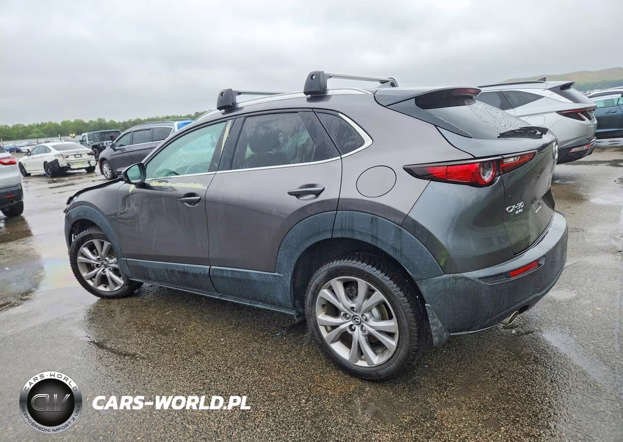 2020 Mazda Cx-30 Premium VIN:3MVDMBEM6LM134928 - 2