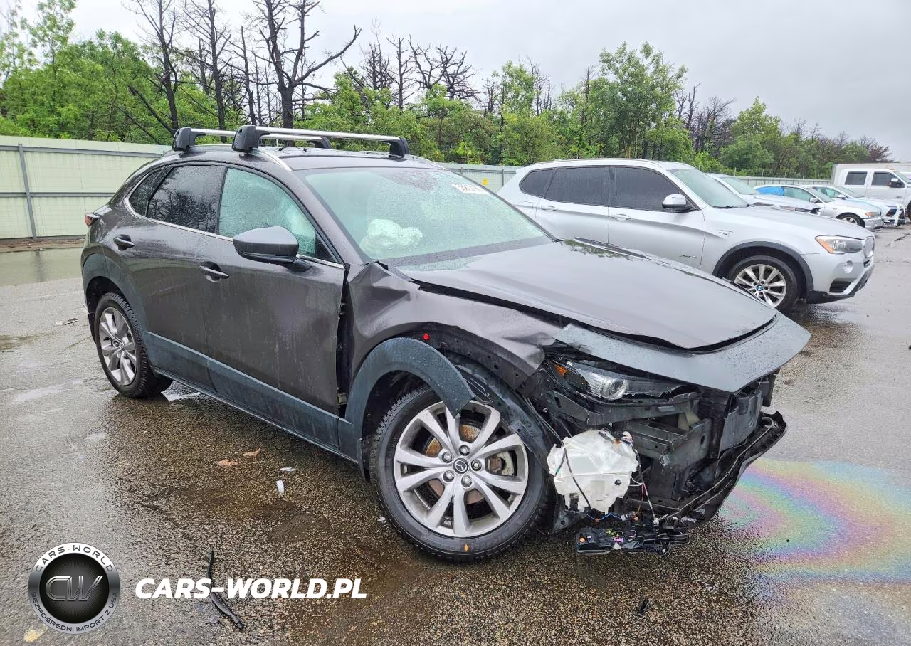 2020 Mazda Cx-30 Premium VIN:3MVDMBEM6LM134928 - 4