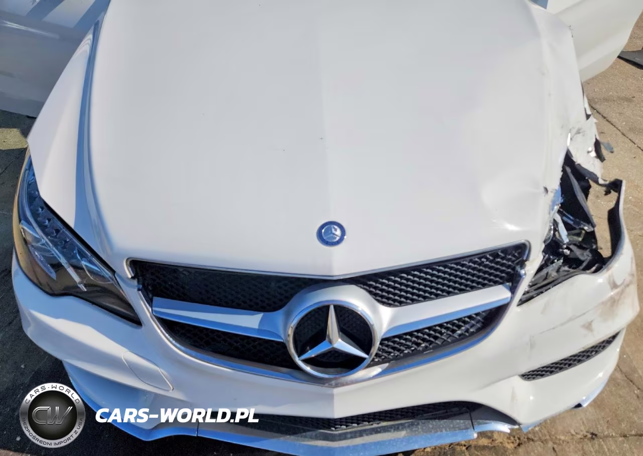 2016 Mercedes-Benz E-Class E400 4Matic VIN:WDDKJ6FBXGF325673 - 11