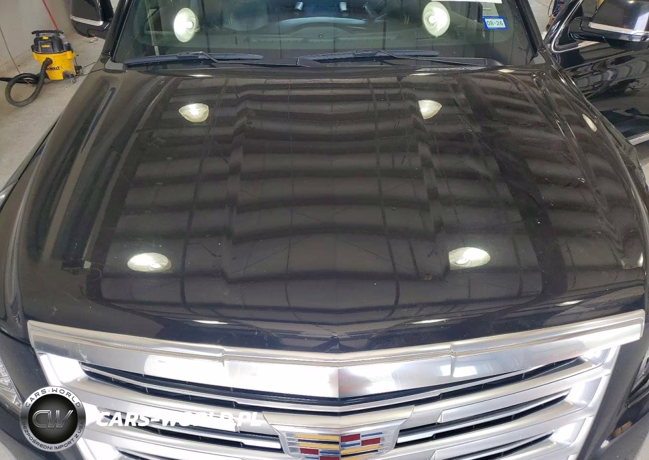 2016 Cadillac Escalade Platinum VIN:1GYS4DKJ6GR203291 - 12