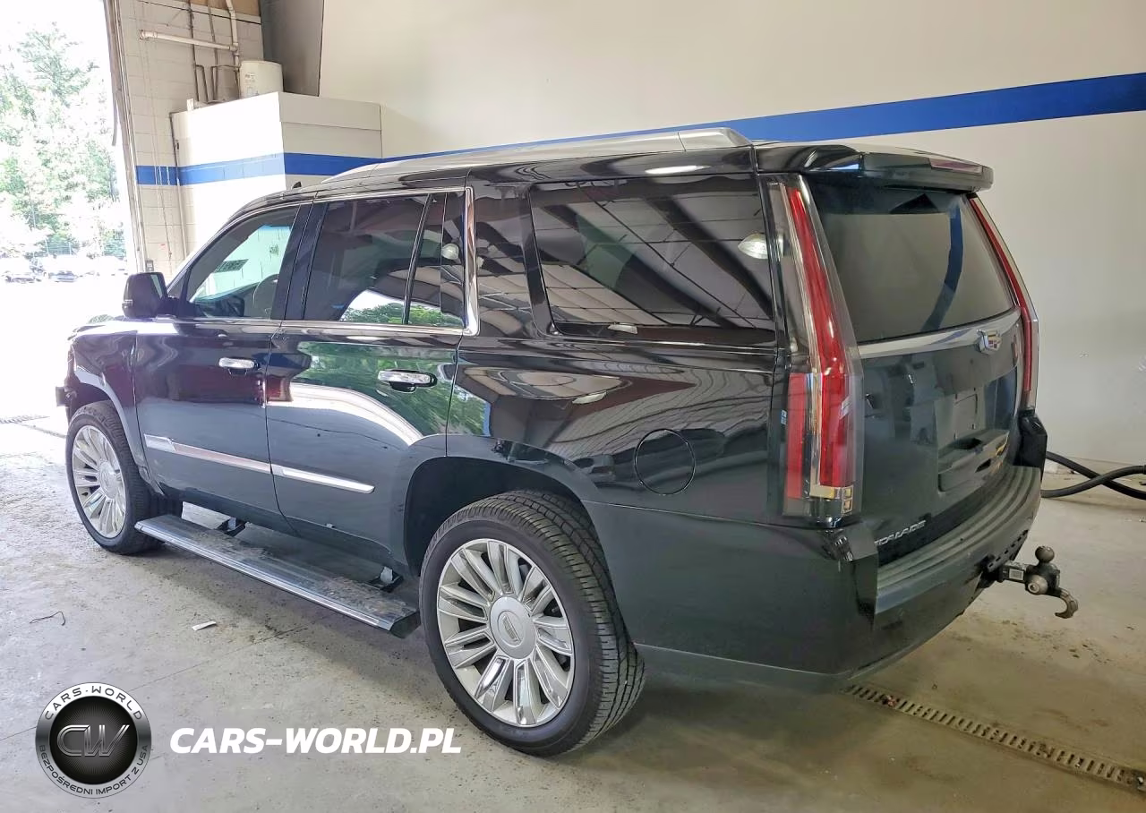 2016 Cadillac Escalade Platinum VIN:1GYS4DKJ6GR203291 - 2