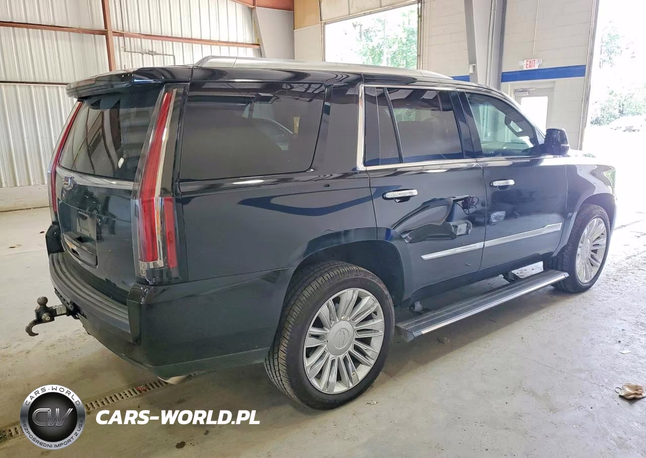 2016 Cadillac Escalade Platinum VIN:1GYS4DKJ6GR203291 - 3