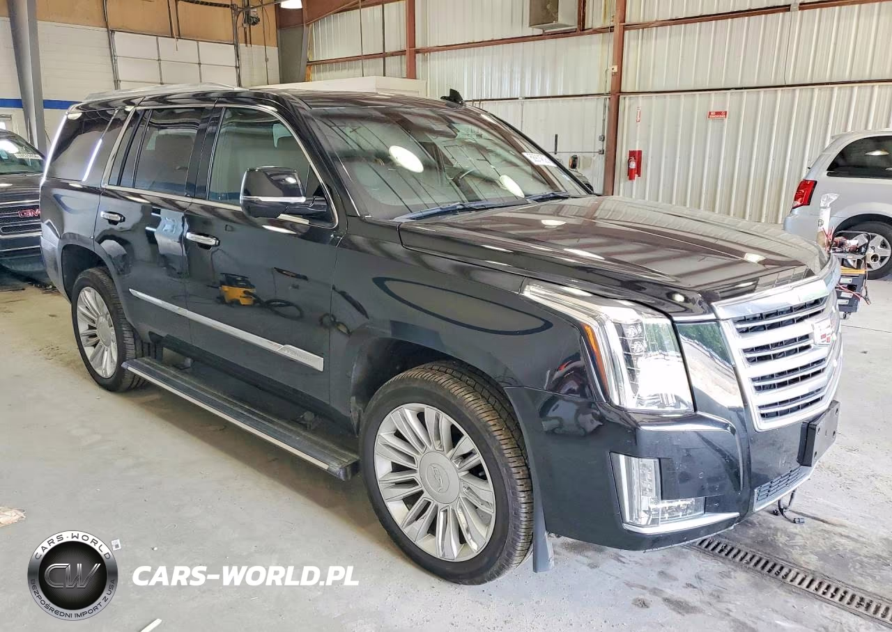 2016 Cadillac Escalade Platinum VIN:1GYS4DKJ6GR203291 - 4
