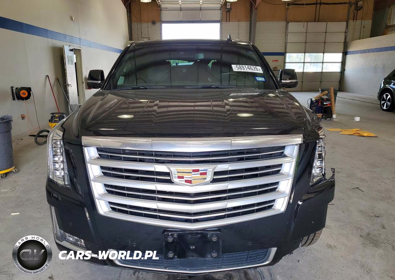 2016 Cadillac Escalade Platinum VIN:1GYS4DKJ6GR203291 - 5