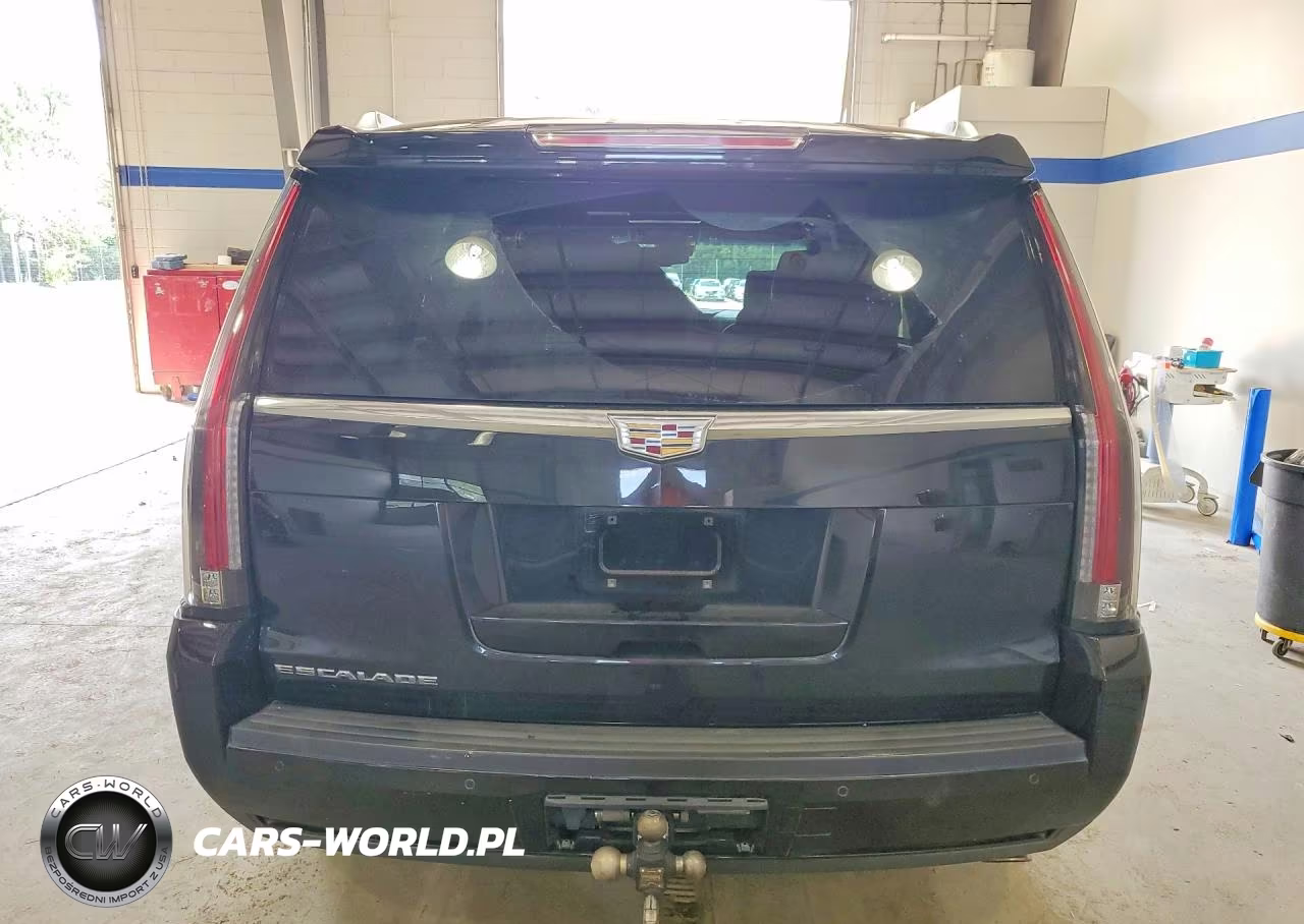 2016 Cadillac Escalade Platinum VIN:1GYS4DKJ6GR203291 - 6
