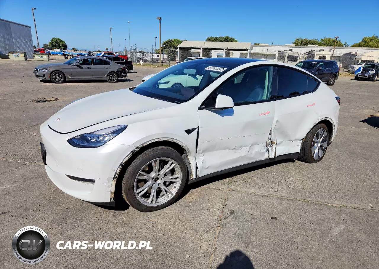 2020 Tesla Model Y