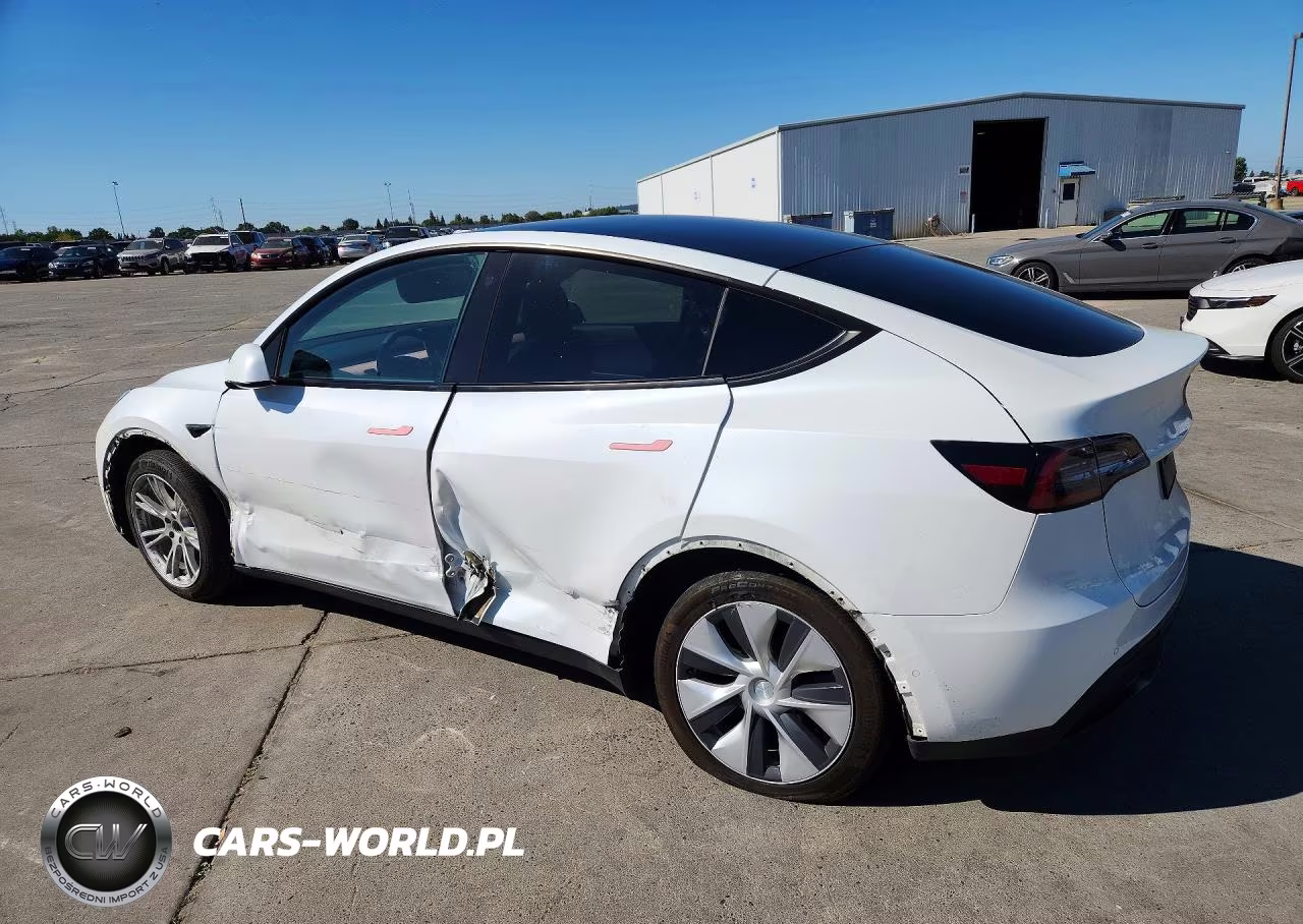 2020 Tesla Model Y VIN:5YJYGDEEXLF009403 - 2